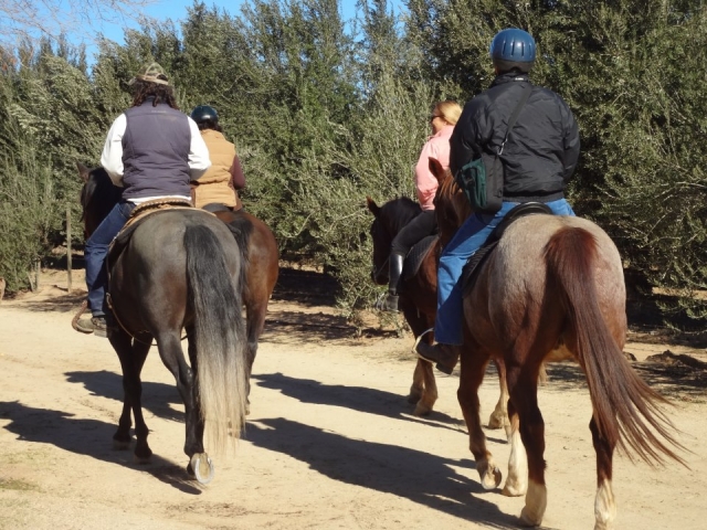 Visitas guiadas y recorridos